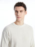 LC Waikiki Crew Neck Long Sleeve Men's Tricot Sweater